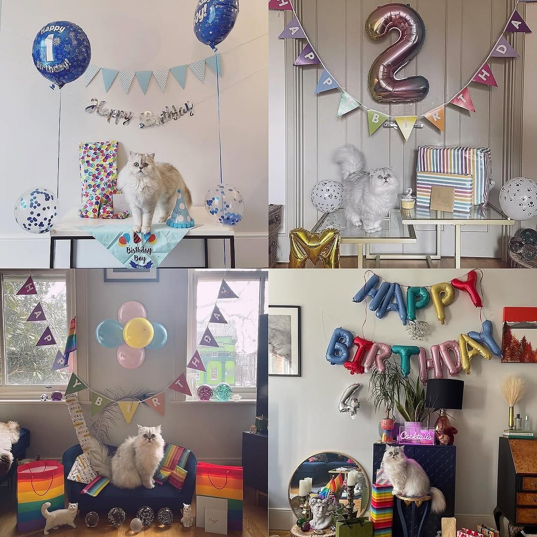 Post 8 by Teddy & Monty on Instagram (image)