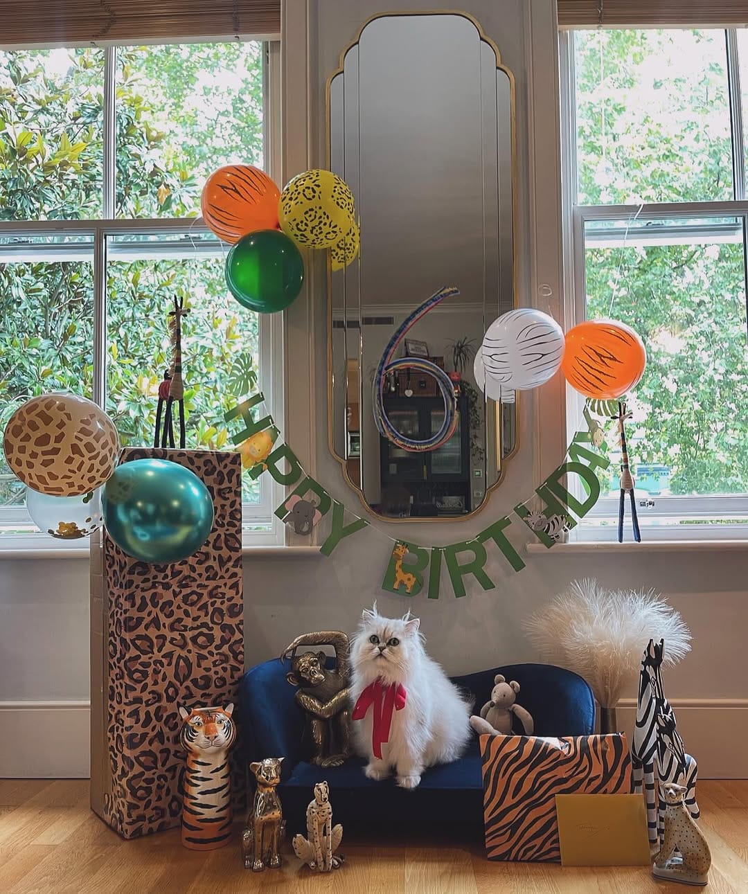 Post 6 by Teddy & Monty on Instagram (image)