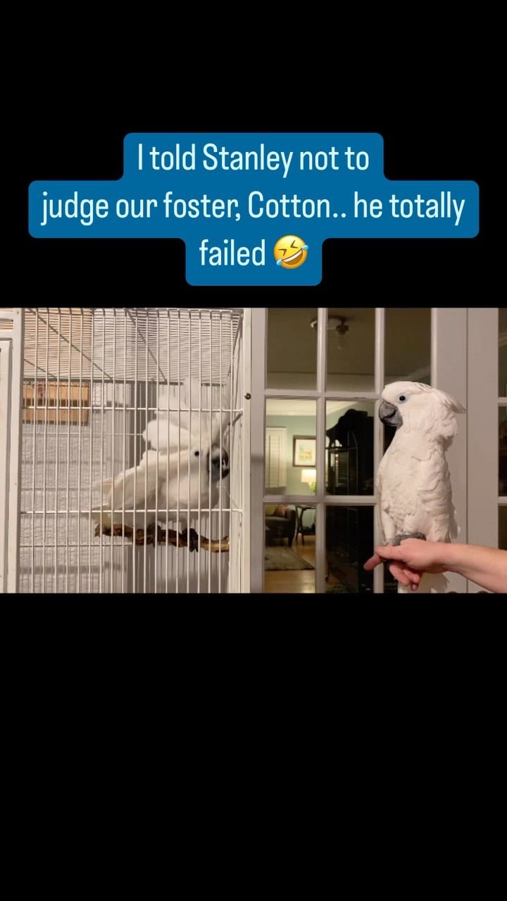 Post 10 by Michele on Instagram (video)