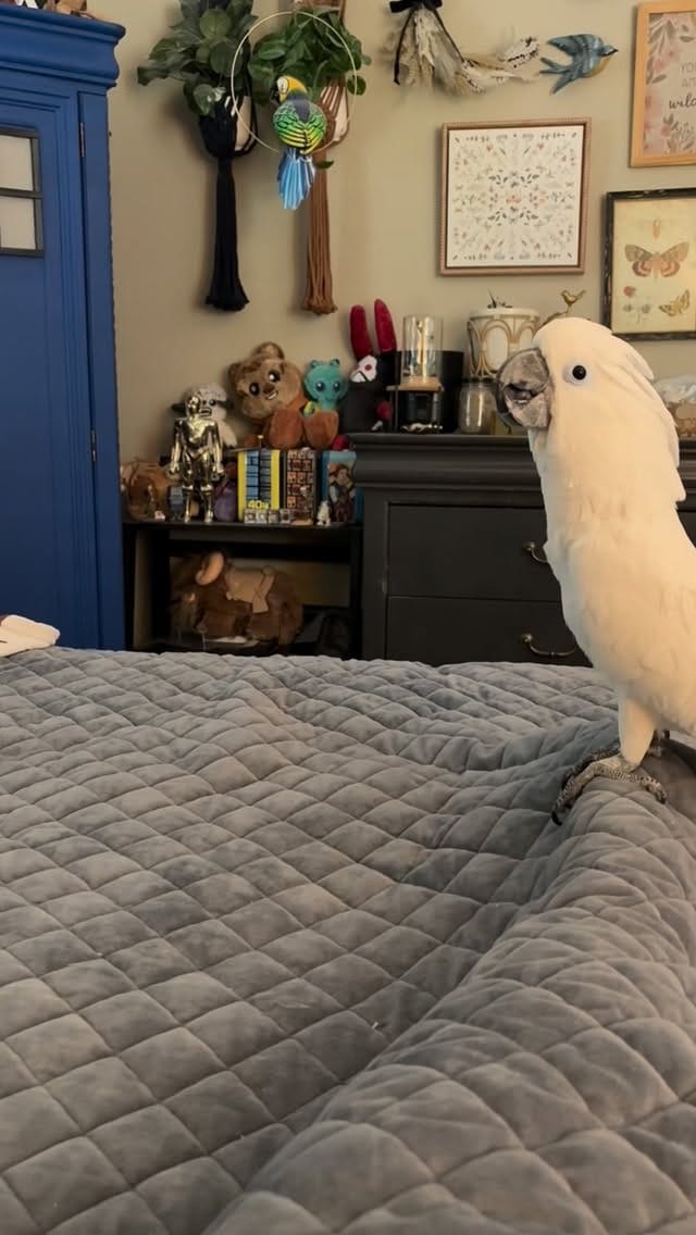 Post 2 by Michele on Instagram (video)