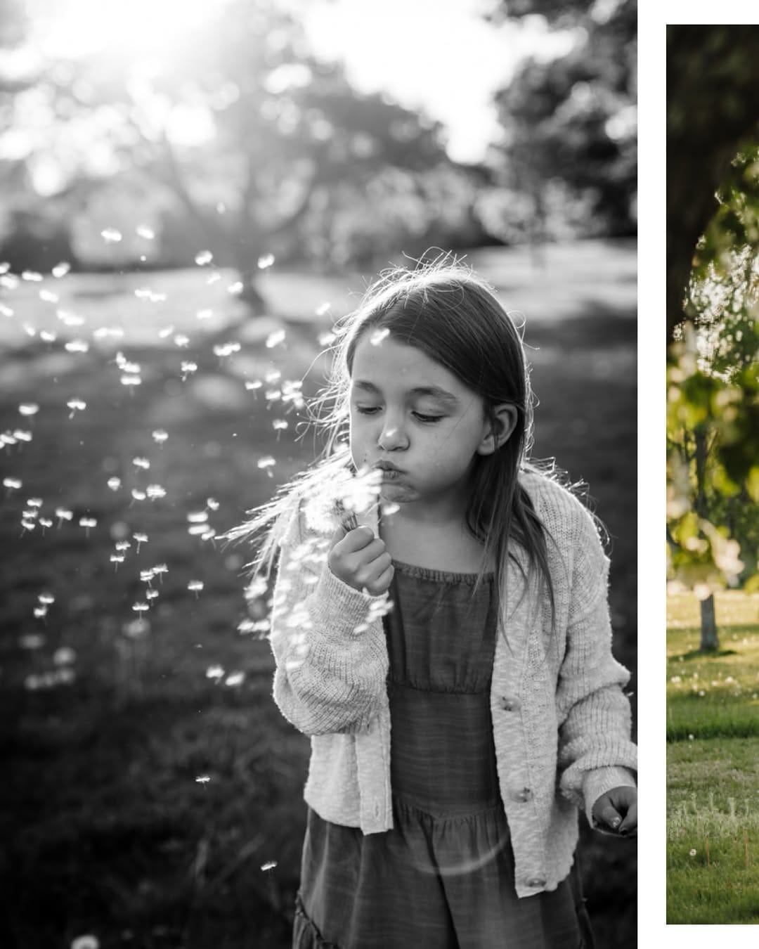 Post 4 by Lyndsay | Boston Newborn and Family Photographer on Instagram (carousel)