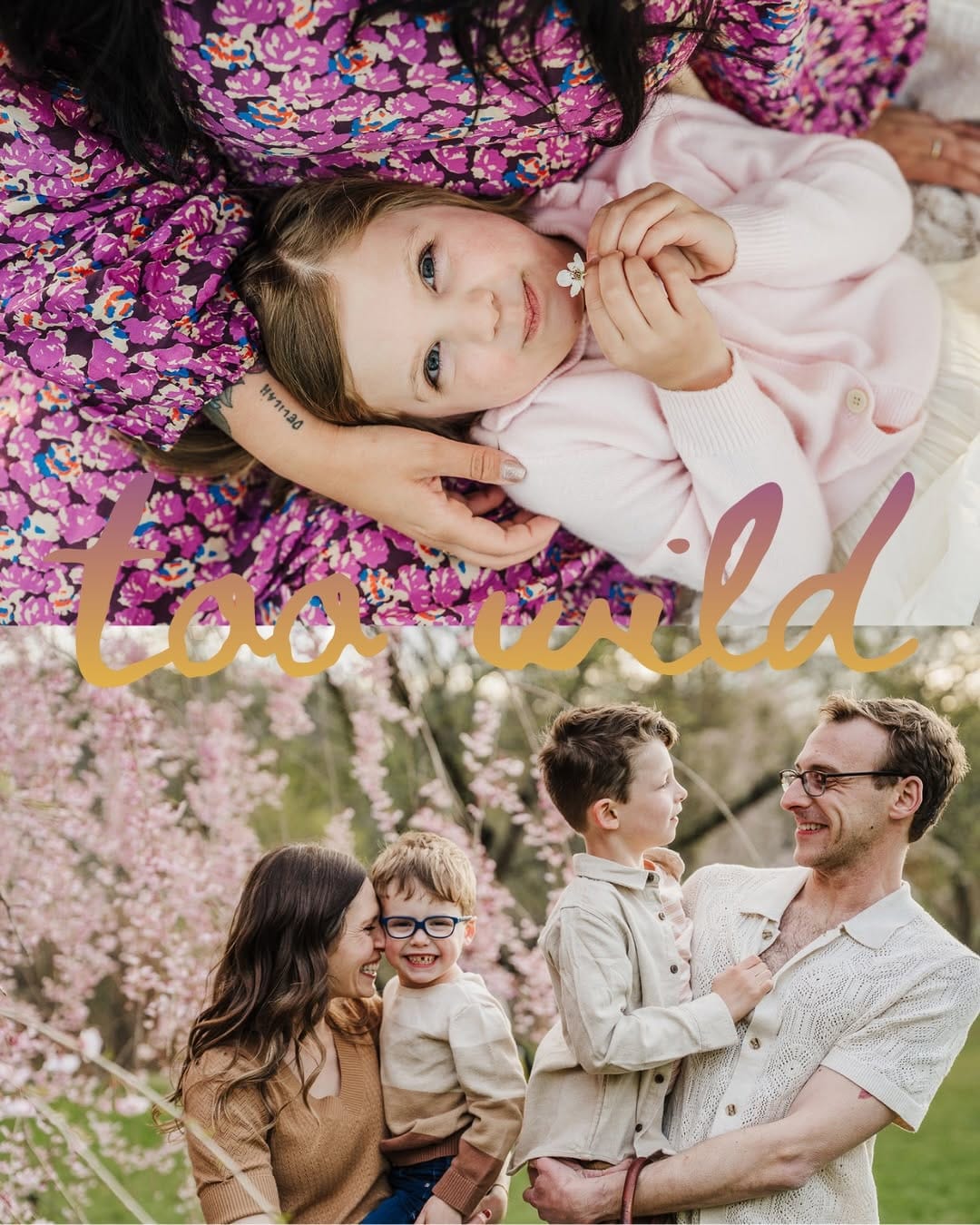 Post 3 by Lyndsay | Boston Newborn and Family Photographer on Instagram (carousel)