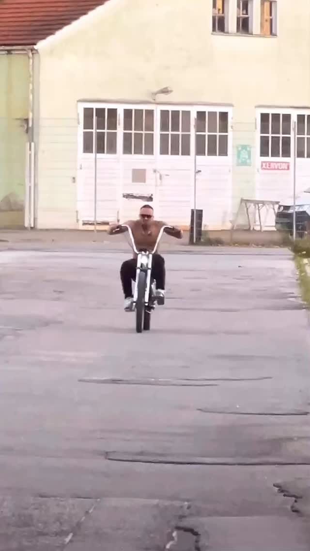 Post 8 by Ρ Η Θ Ξ Π Ι Χ 🐦‍🔥 on Instagram (video)
