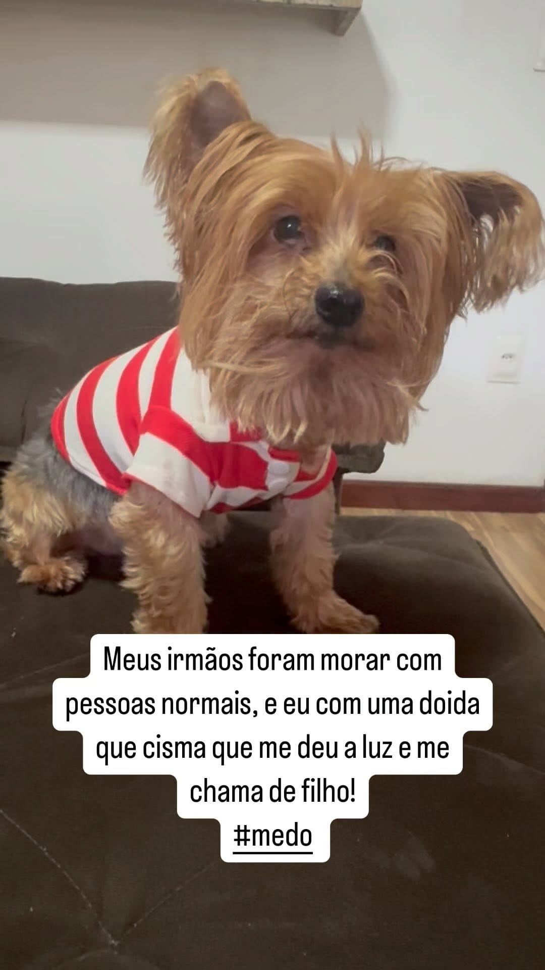 Post 8 by 🐶DUQUE - Renato Dukystênnyo on Instagram (video)
