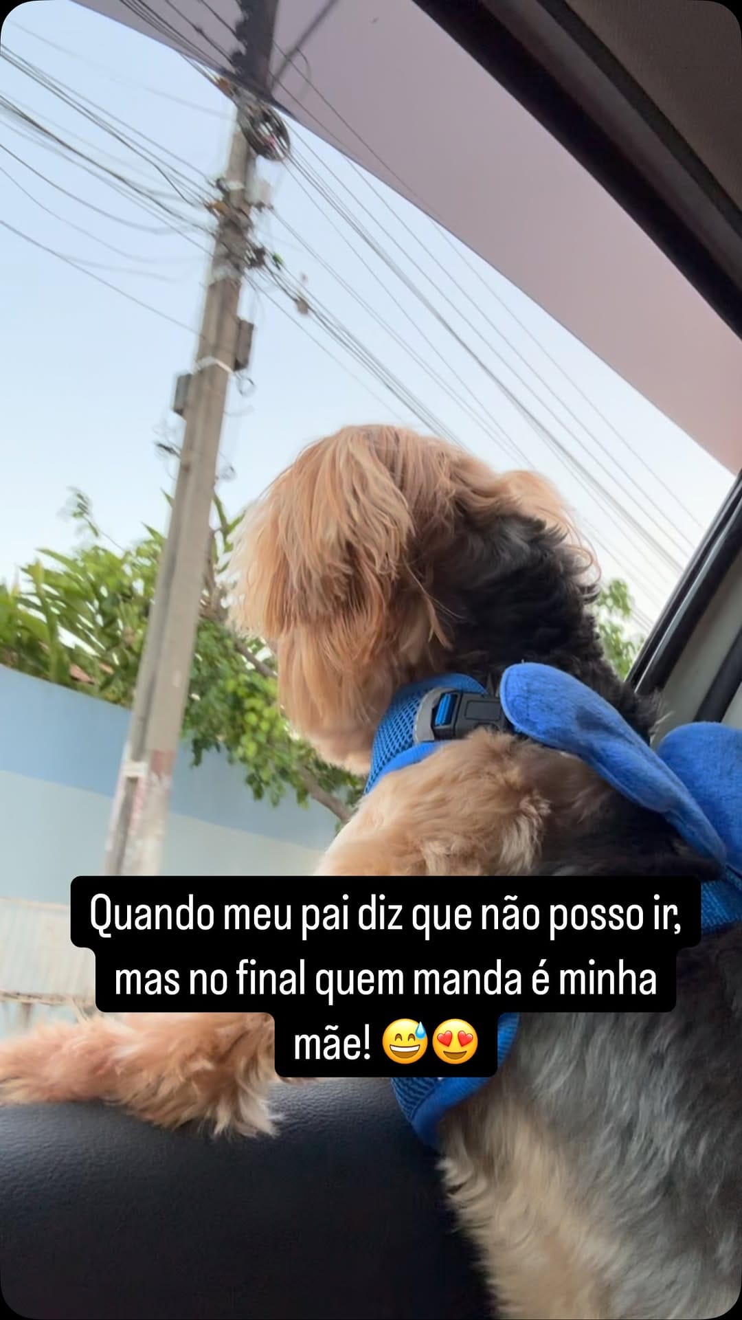 Post 4 by 🐶DUQUE - Renato Dukystênnyo on Instagram (video)