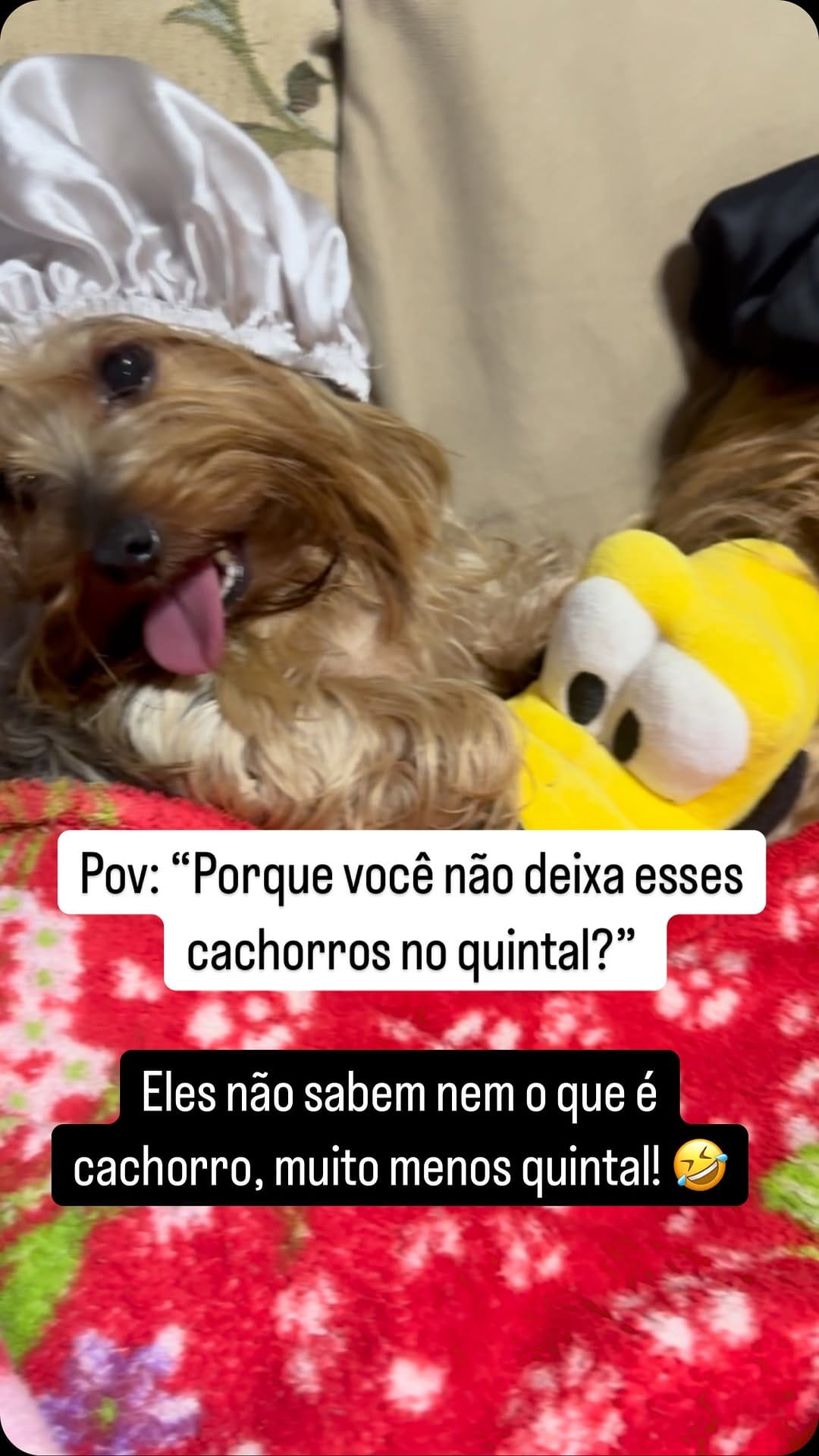 Post 5 by 🐶DUQUE - Renato Dukystênnyo on Instagram (video)