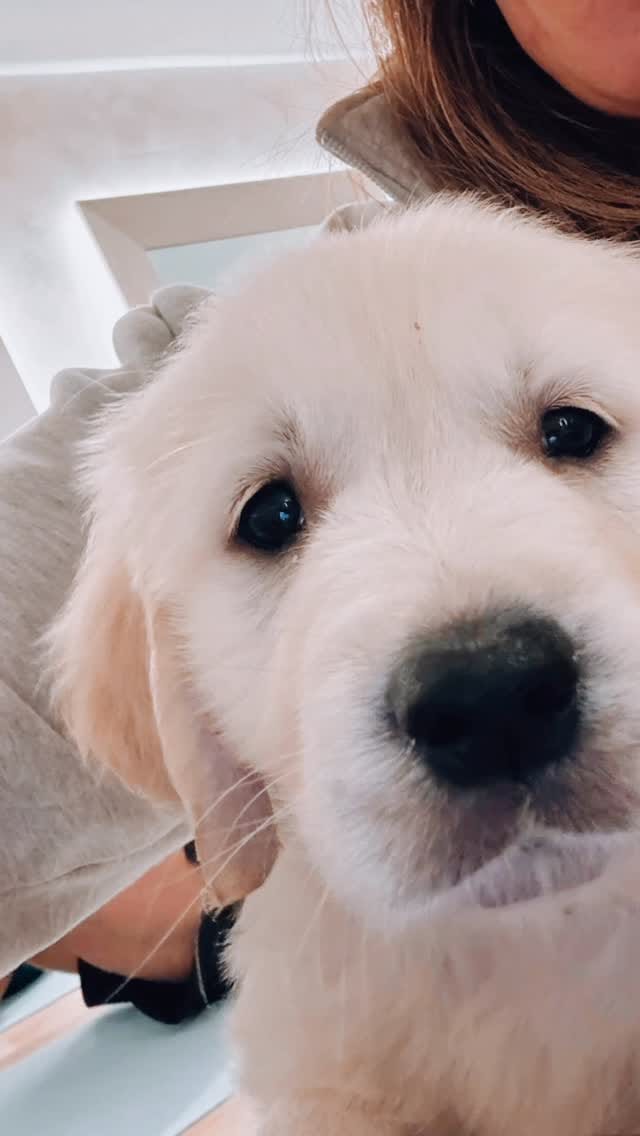 Post 2 by The Hideaway on Horse Park Ln on Instagram (video)