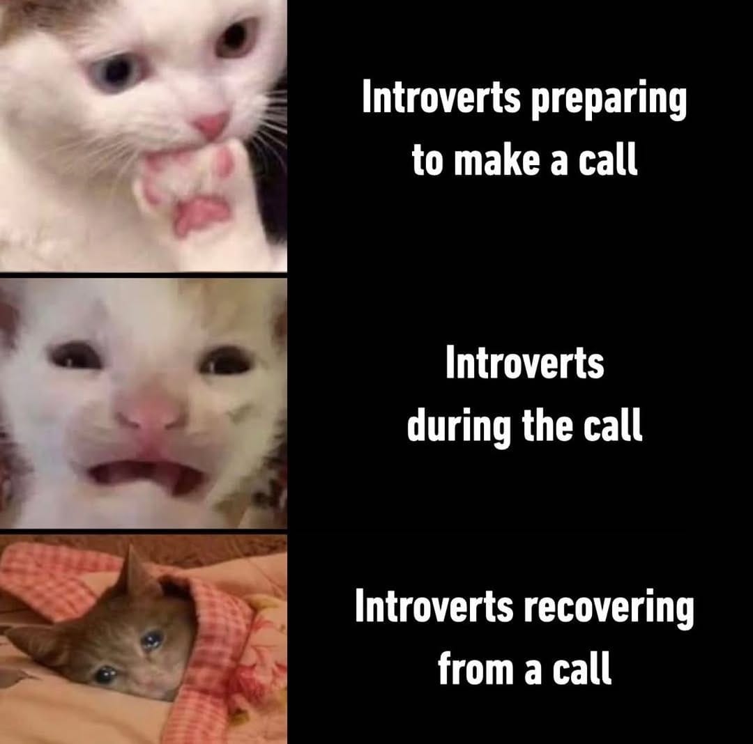 Post 7 by Meow Town on Instagram (image)