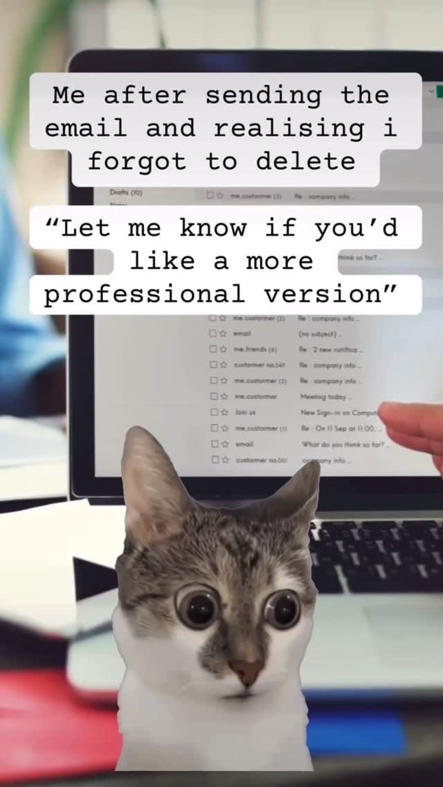 Post 6 by Meow Town on Instagram (video)