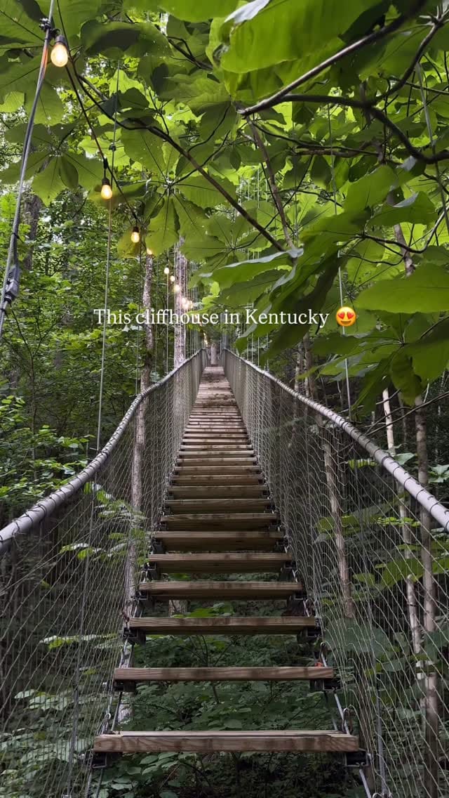 Post 2 by Canopy Crew on Instagram (video)