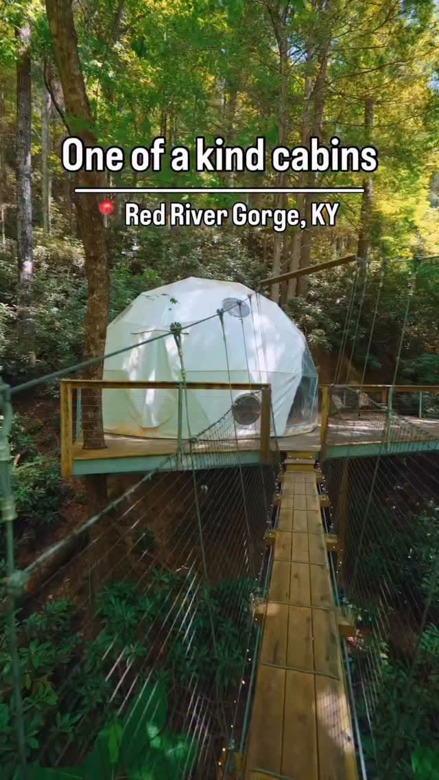 Post 7 by Canopy Crew on Instagram (video)