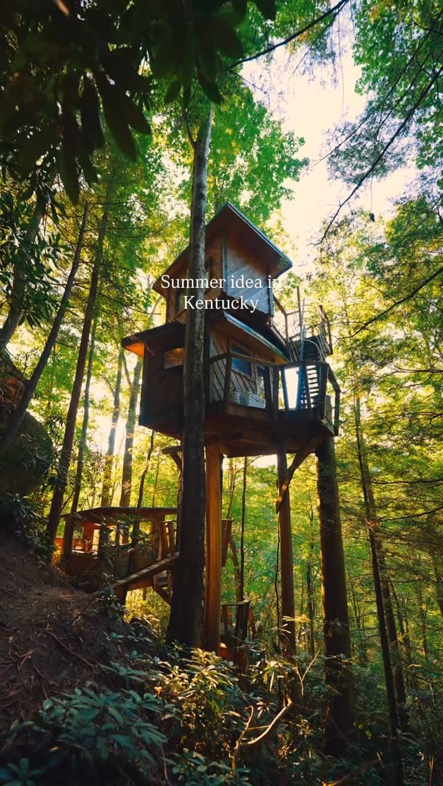 Post 4 by Canopy Crew on Instagram (video)