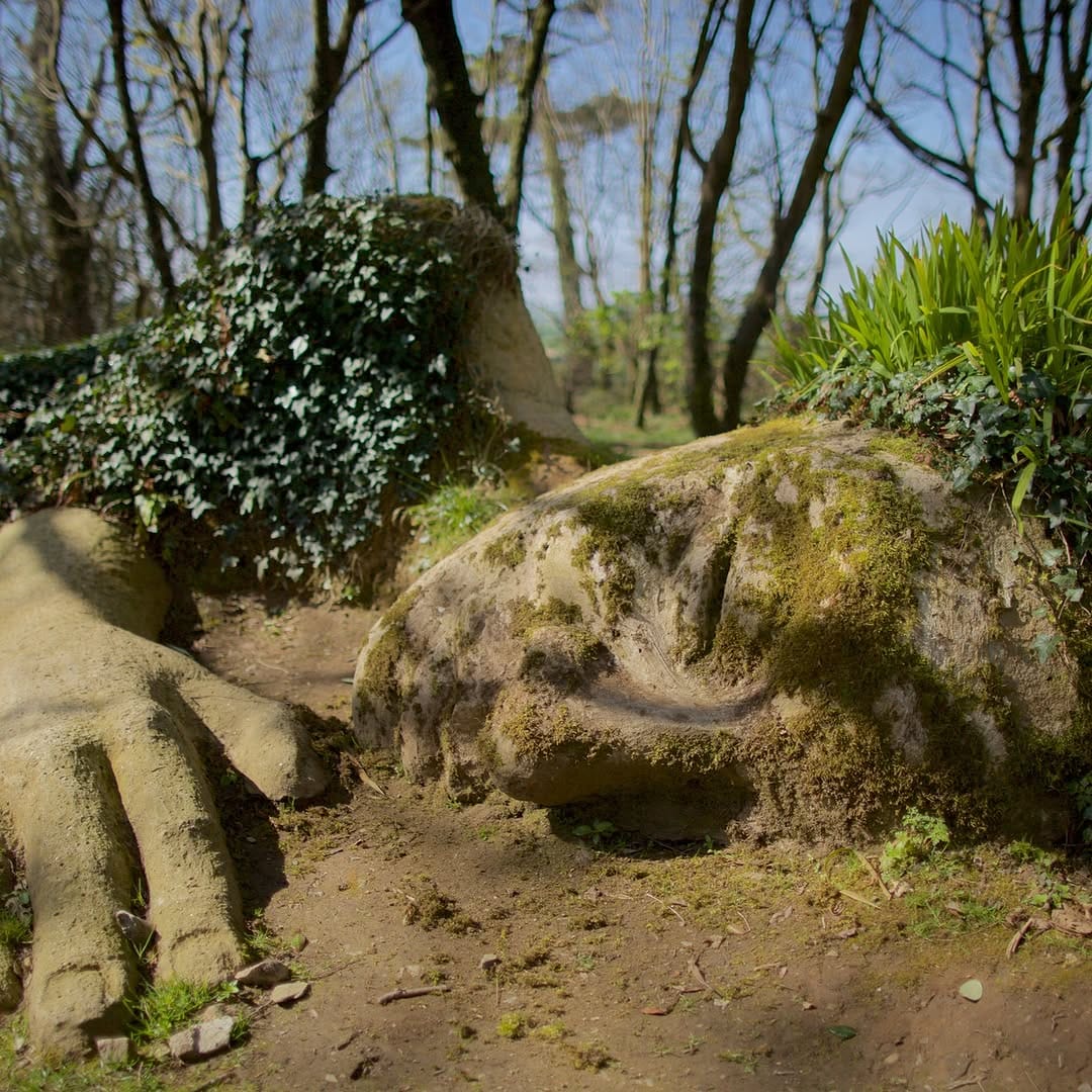 Post 9 by The Lost Gardens of Heligan on Instagram (image)