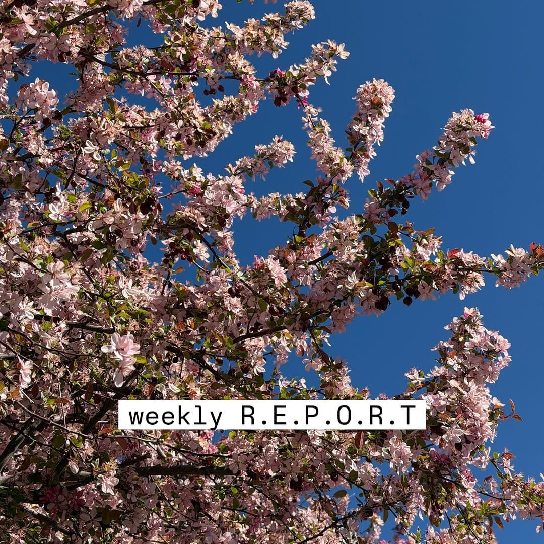 Post 10 by chelsea | denver lifestyle content on Instagram (carousel)