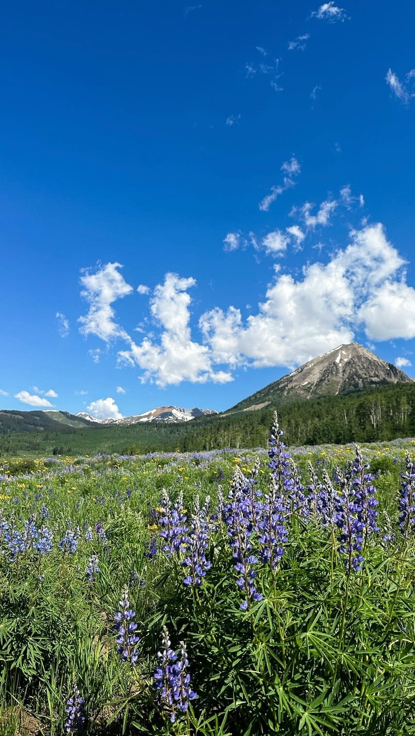 Post 7 by chelsea | denver lifestyle content on Instagram (video)