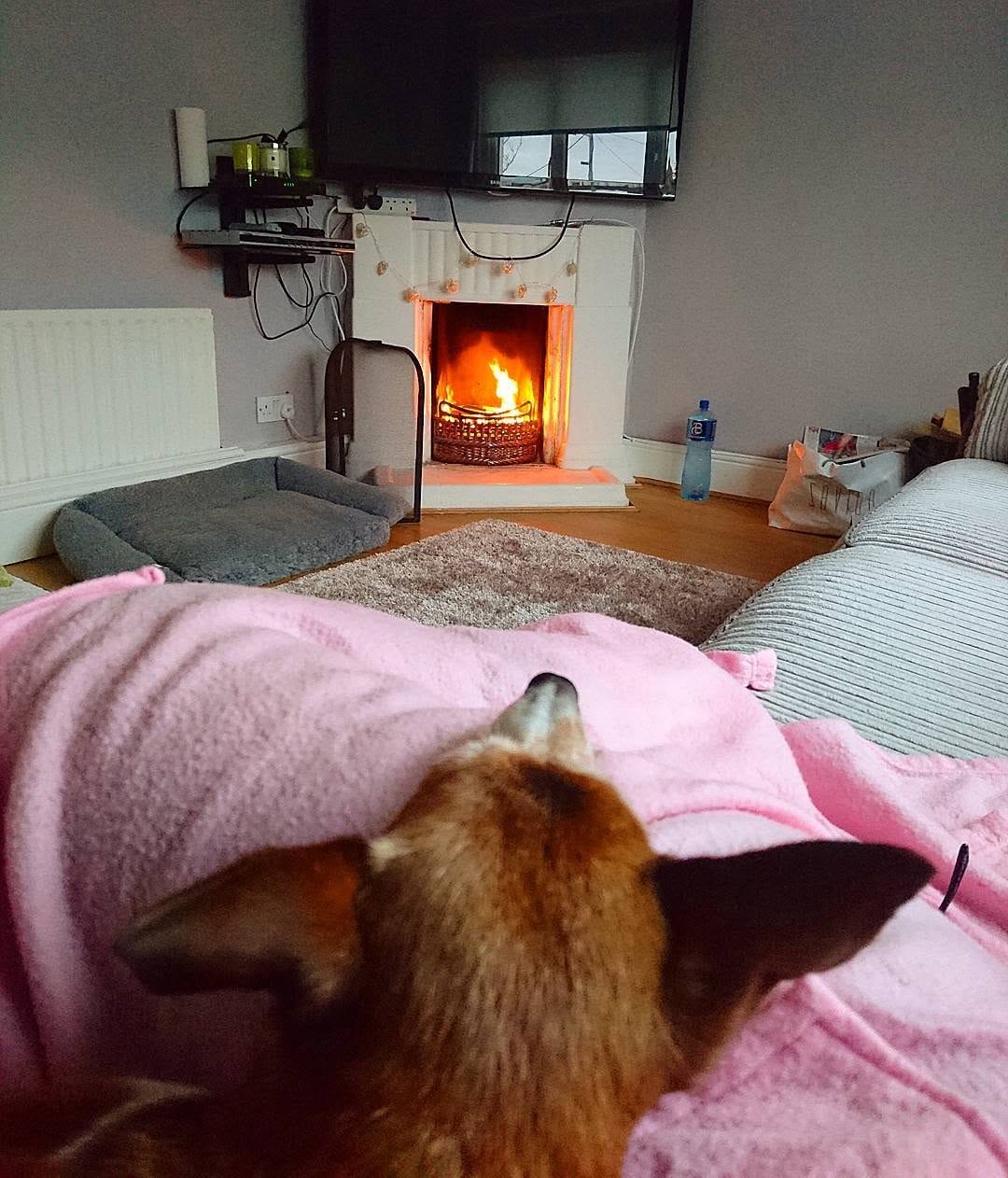 Post 7 by Pippy - Dublin, Ireland on Instagram (image)