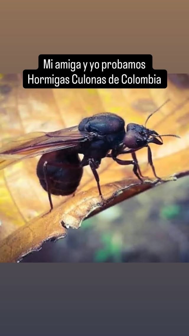 Post 7 by Janid Ortiz on Instagram (video)