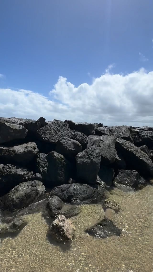 Post 5 by Janid Ortiz on Instagram (video)