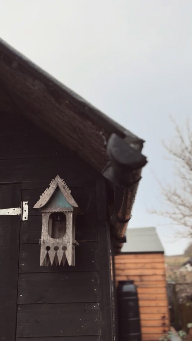 Post 5 by Louise Blamire: Wild Clay on Instagram (video)