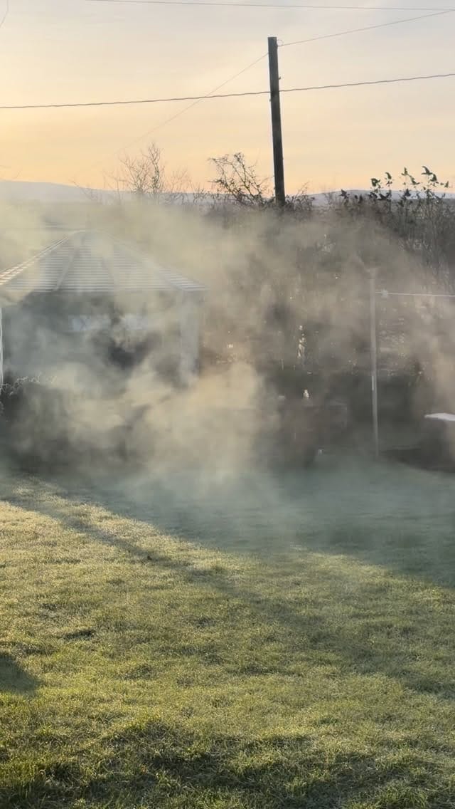 Post 3 by Louise Blamire: Wild Clay on Instagram (video)