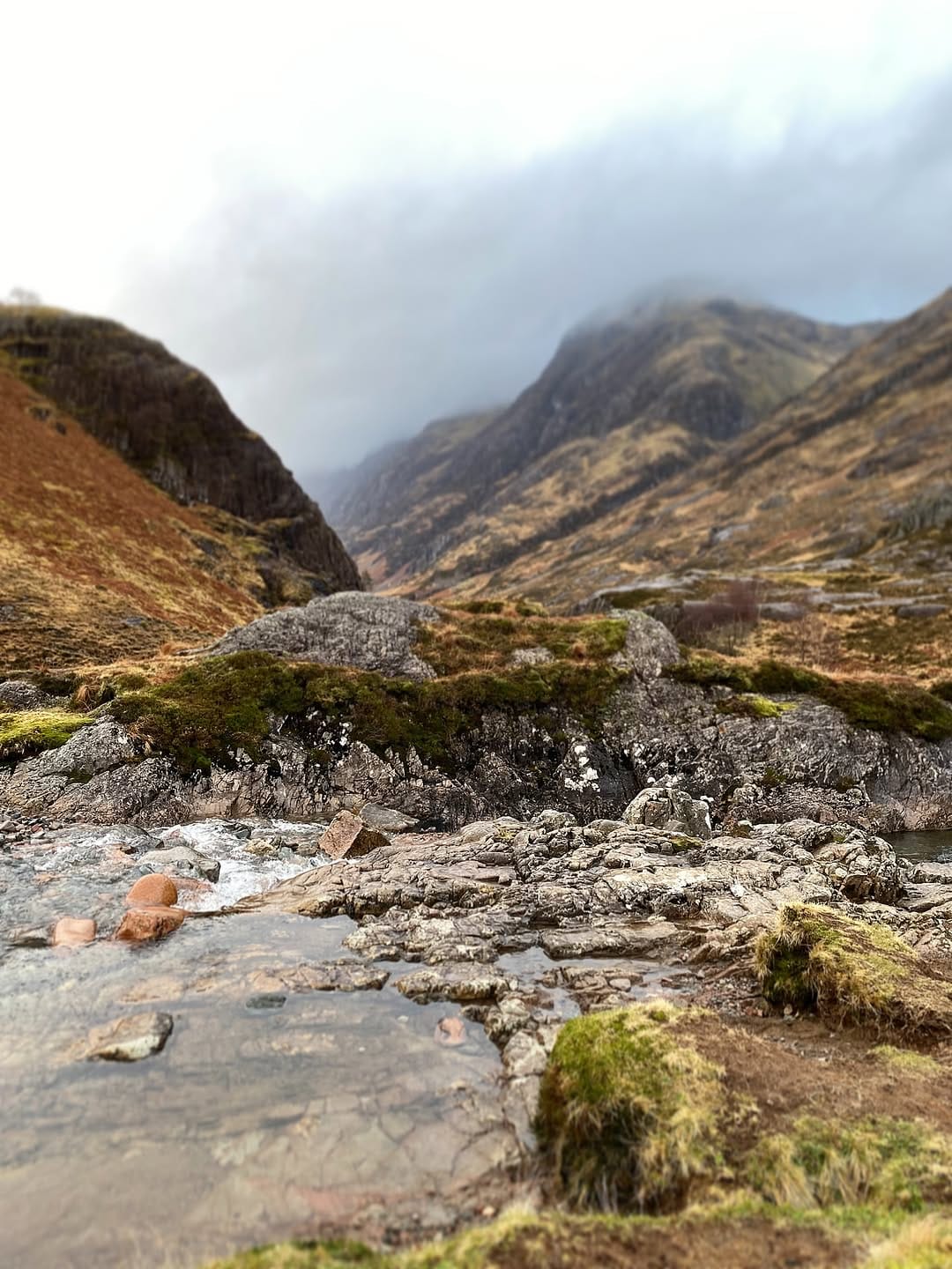 Post 4 by Louise Blamire: Wild Clay on Instagram (image)