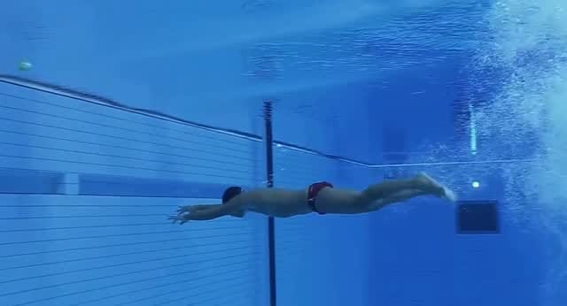 Post 3 by Robert Páez on Instagram (video)