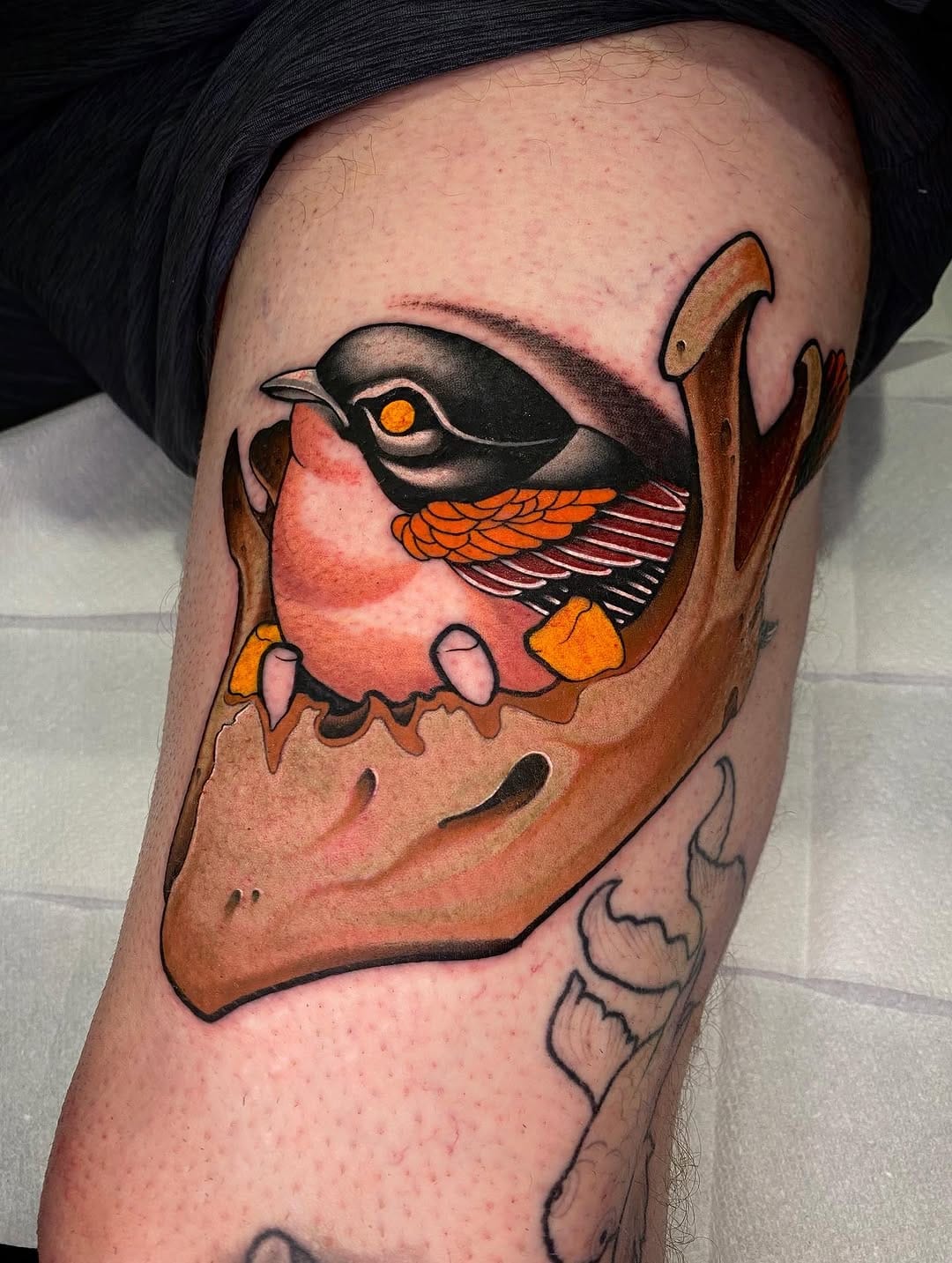 Post 5 by @devincoley on Instagram (image)