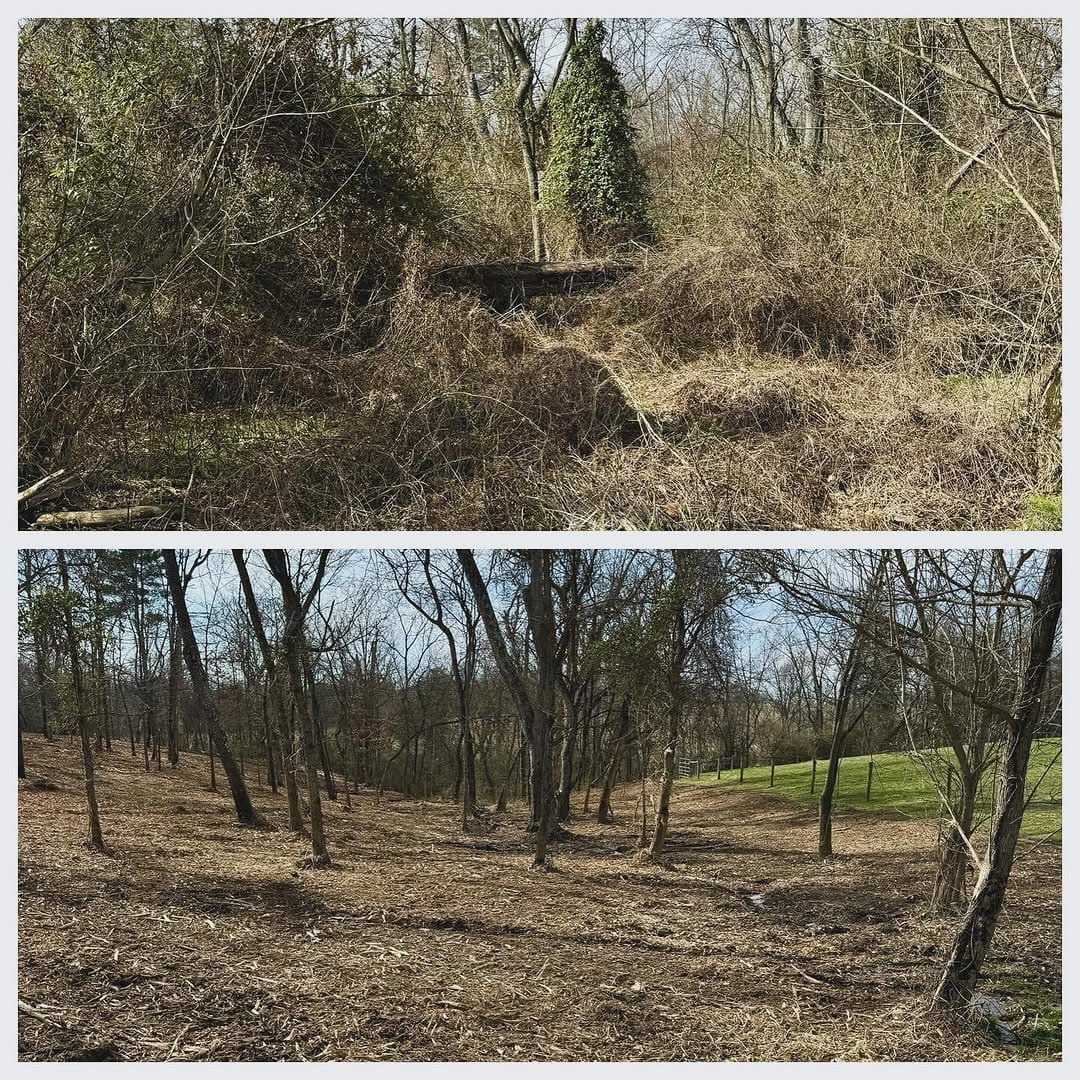 Post 8 by Key Land Management LLC on Instagram (carousel)