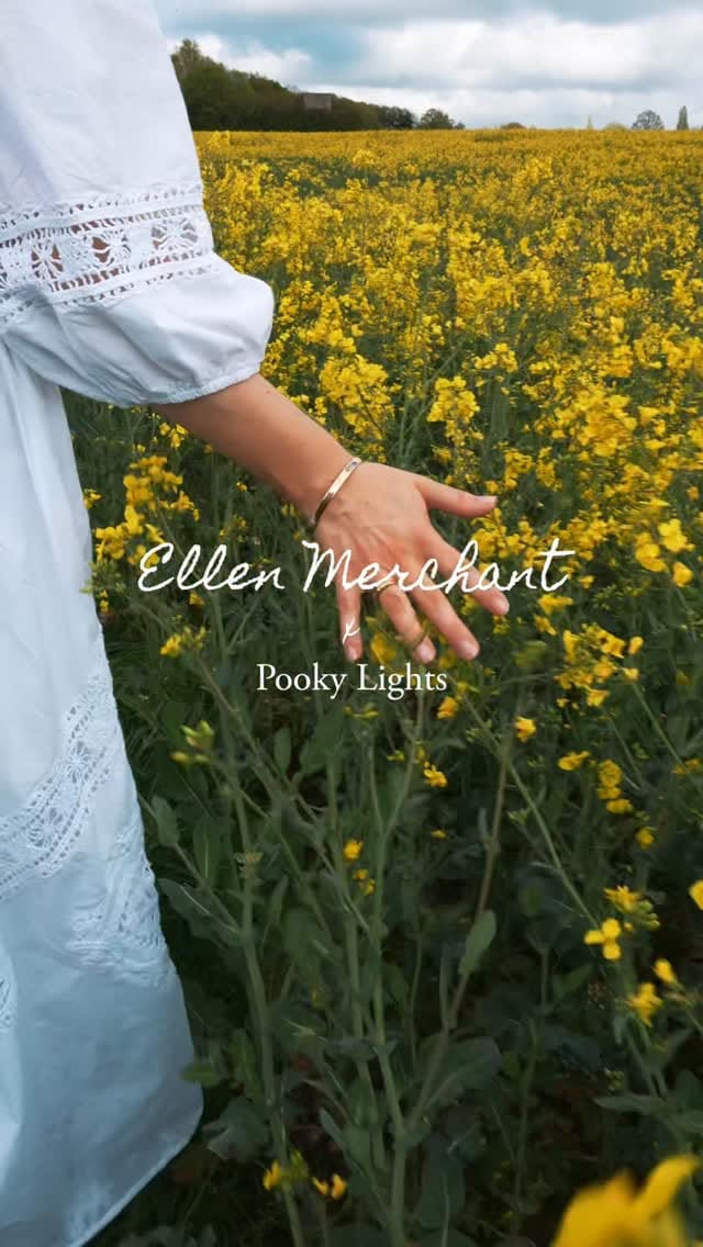 Post 4 by Ellen Merchant on Instagram (video)