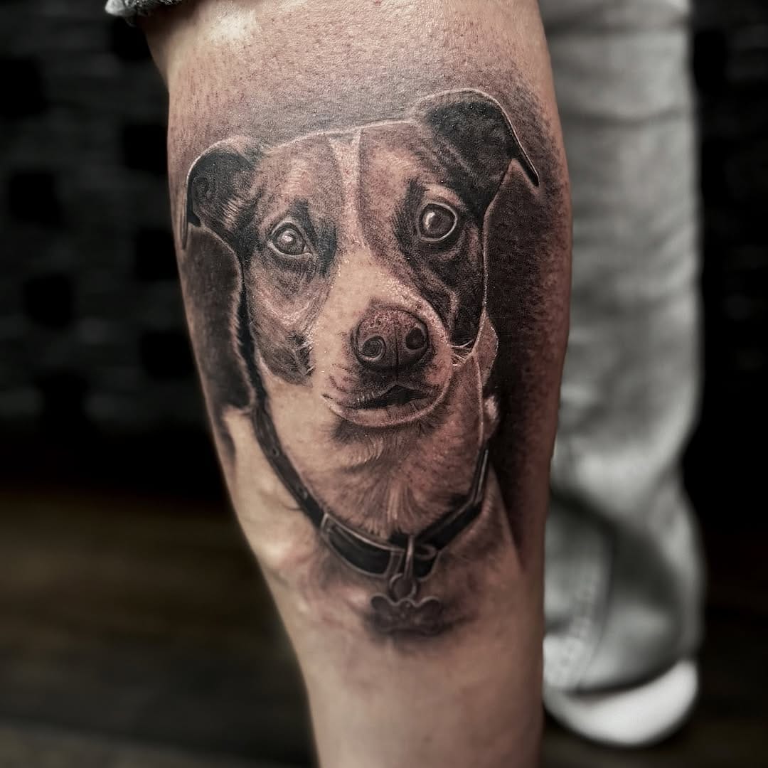 Post 8 by León on Instagram (image)