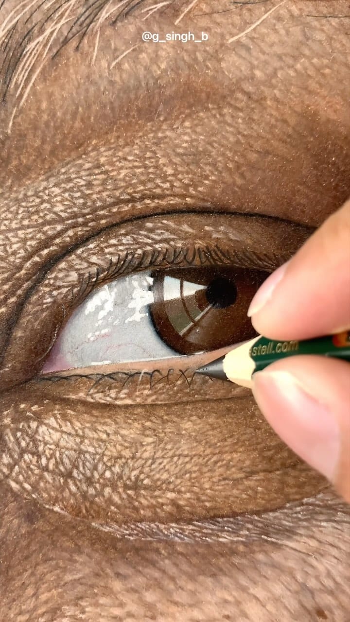 Post 7 by Gurekbal Singh Bhachu on Instagram (video)