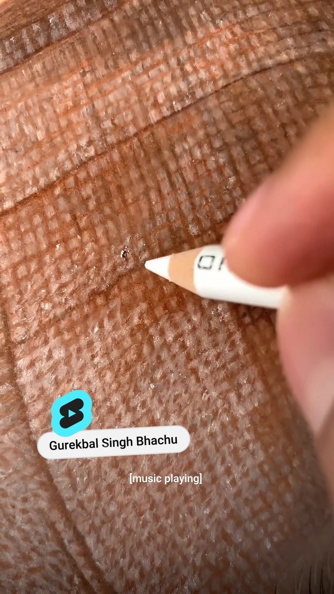 Post 6 by Gurekbal Singh Bhachu on Instagram (video)