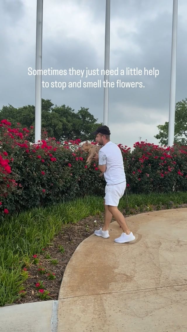 Post 5 by Sergey Astafyev (Lone Star Dog Training and Care) on Instagram (video)