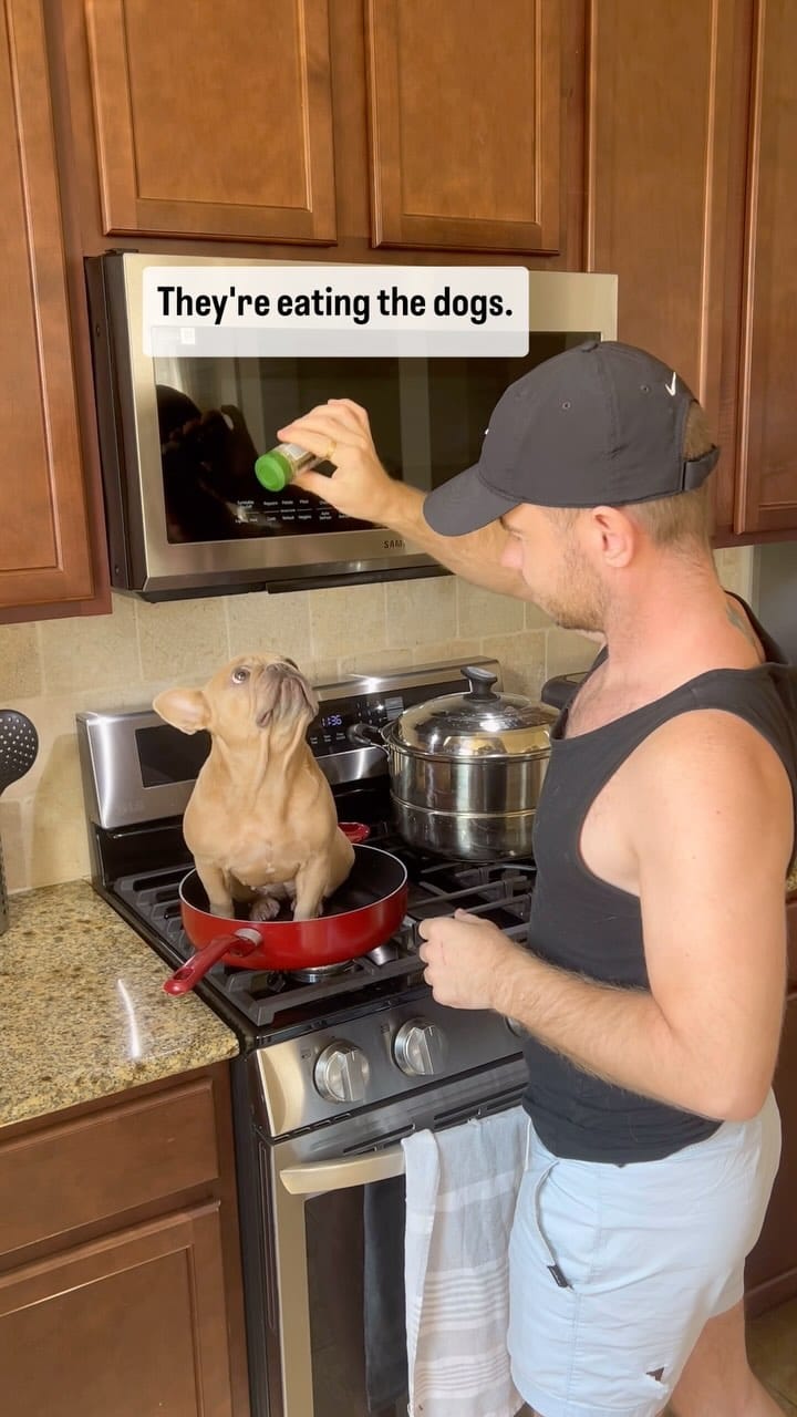 Post 9 by Sergey Astafyev (Lone Star Dog Training and Care) on Instagram (video)