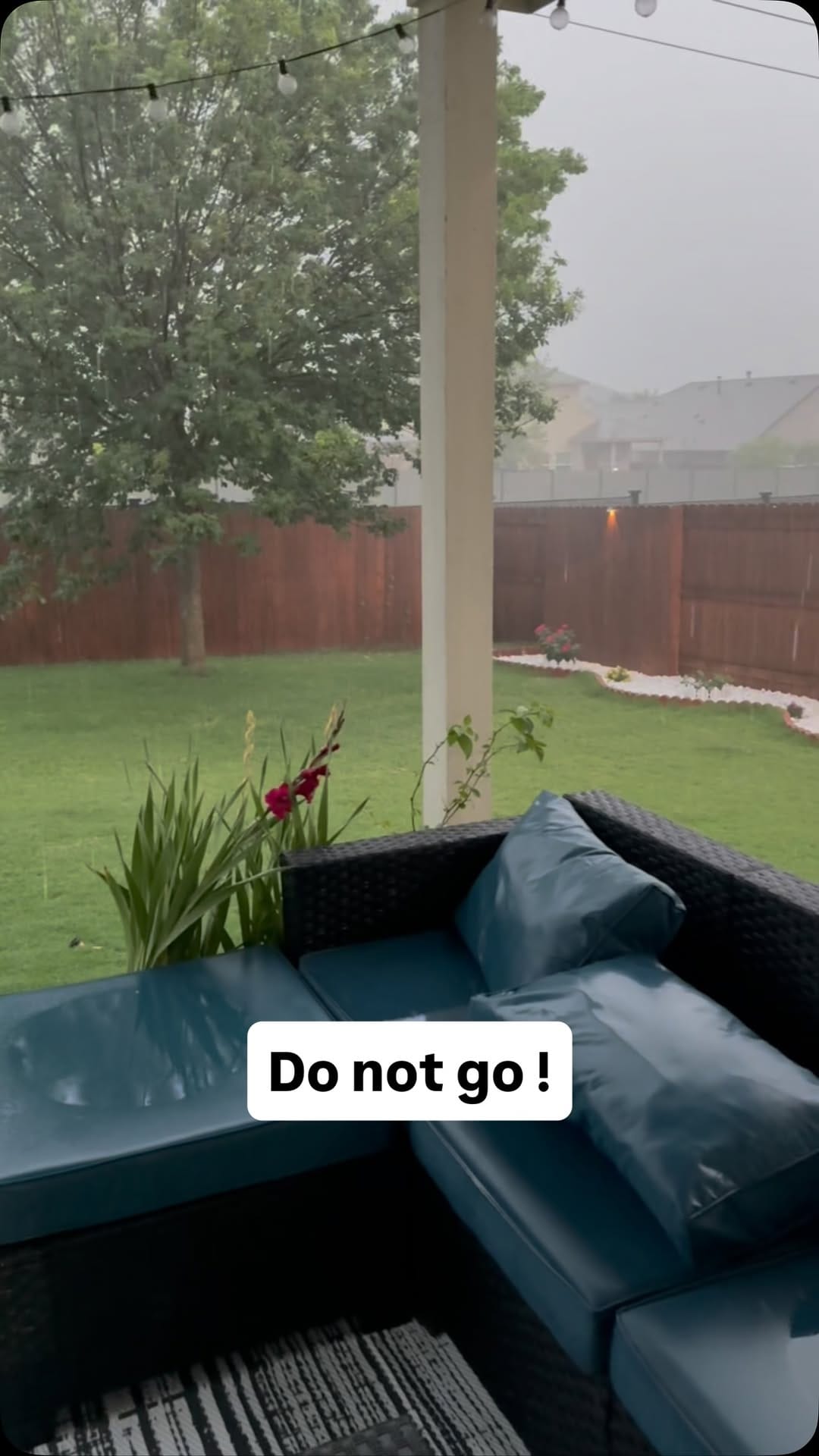 Post 4 by Sergey Astafyev (Lone Star Dog Training and Care) on Instagram (video)