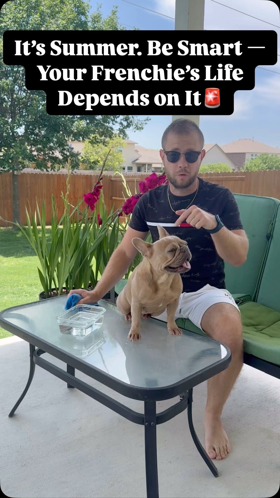 Post 8 by Sergey Astafyev (Lone Star Dog Training and Care) on Instagram (video)