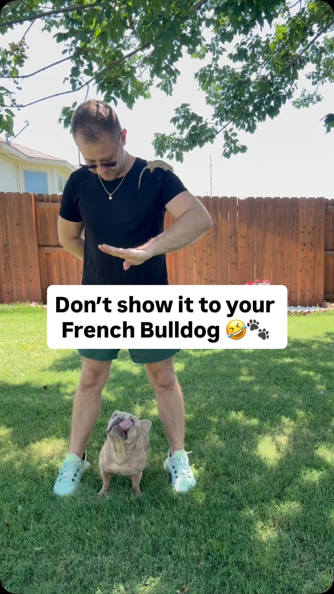 Post 1 by Sergey Astafyev (Lone Star Dog Training and Care) on Instagram (video)