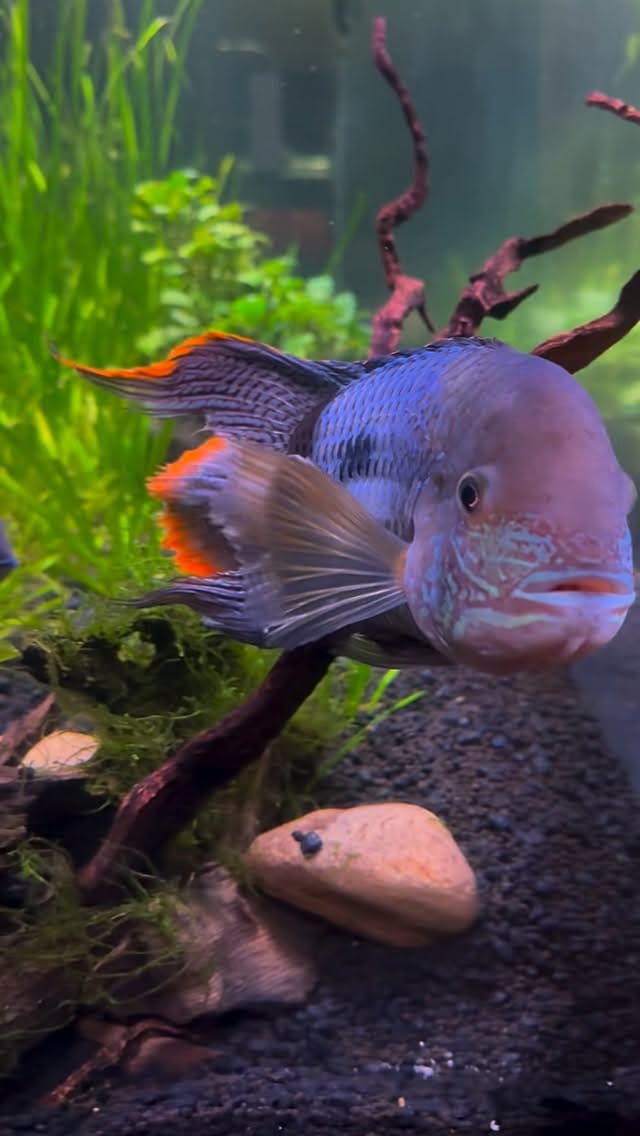 Post 8 by E.L.🐟 on Instagram (video)