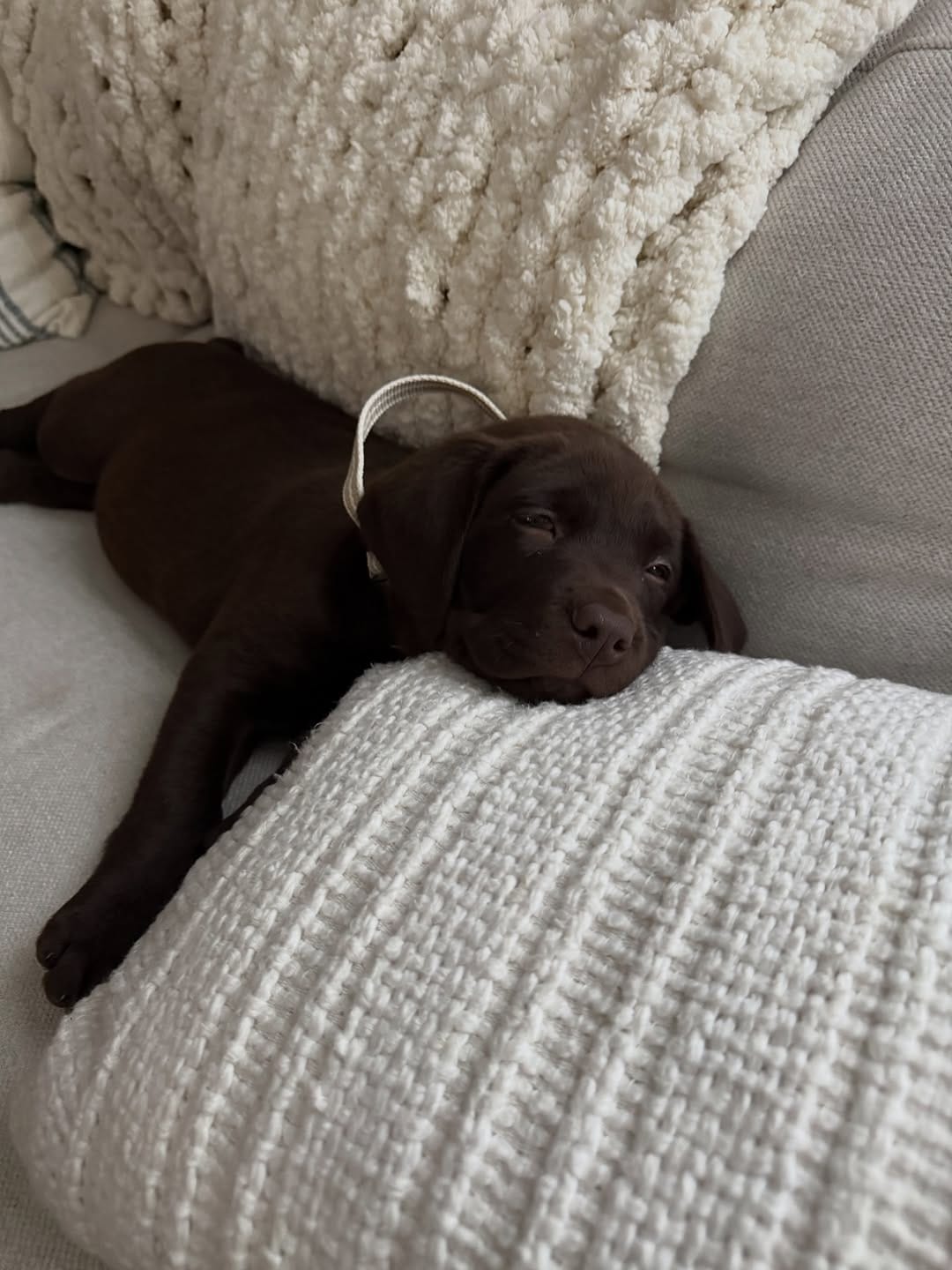 Post 8 by Tucker🤎 on Instagram (carousel)