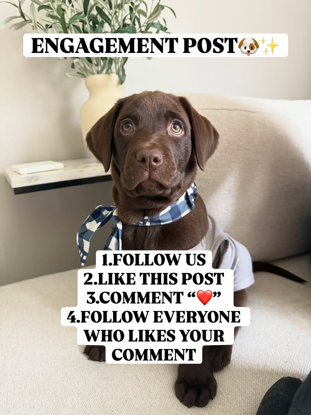 Post 9 by Tucker🤎 on Instagram (image)