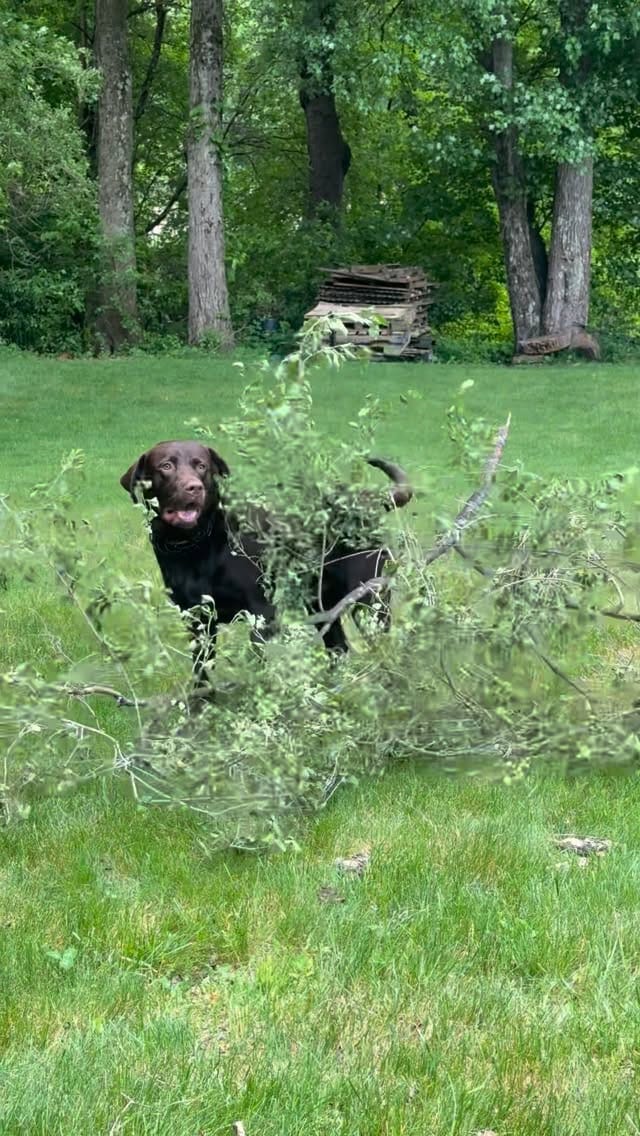 Post 3 by Tucker🤎 on Instagram (video)