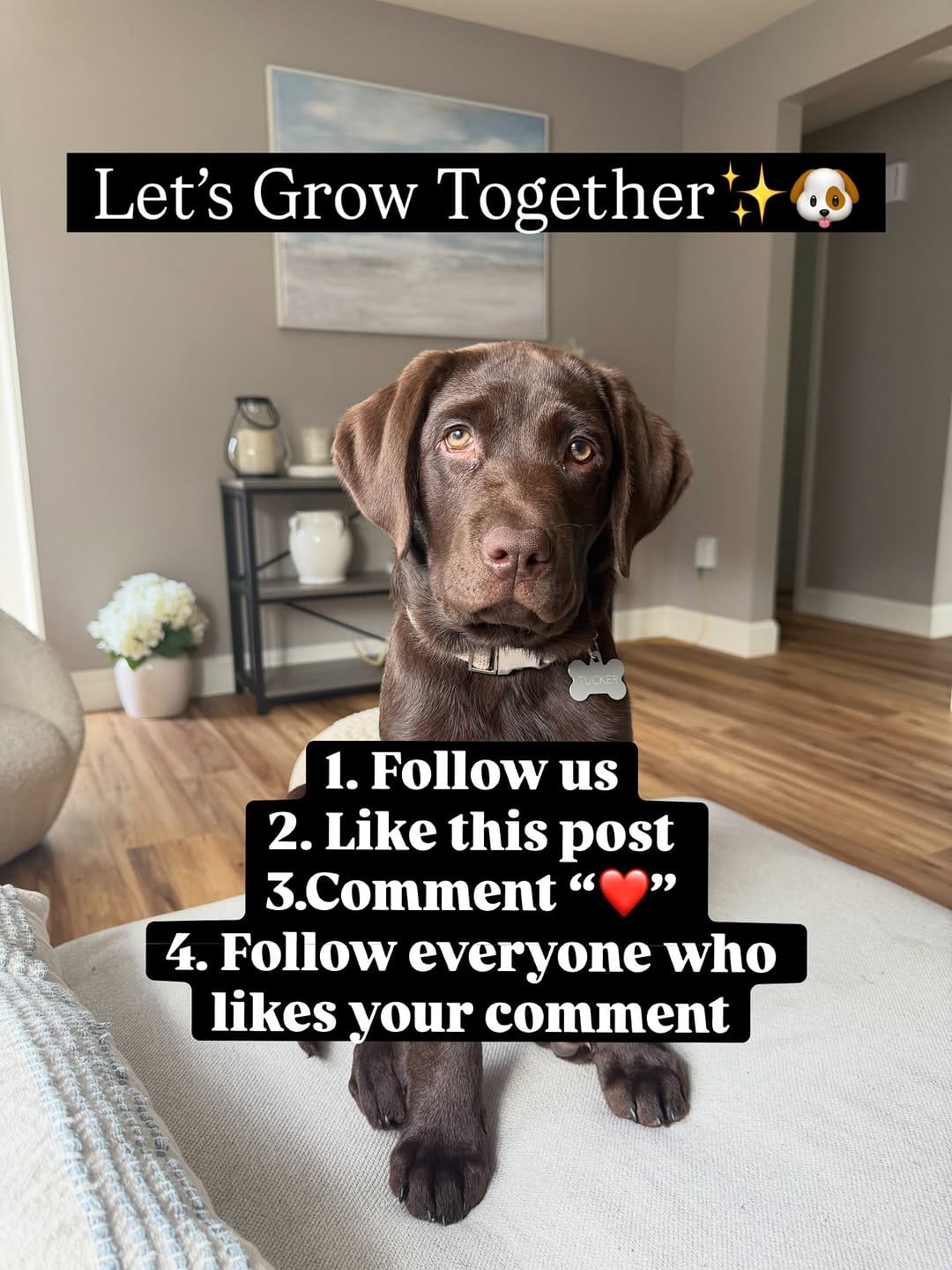 Post 10 by Tucker🤎 on Instagram (image)