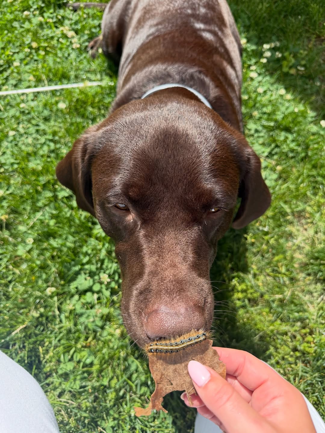 Post 4 by Tucker🤎 on Instagram (image)