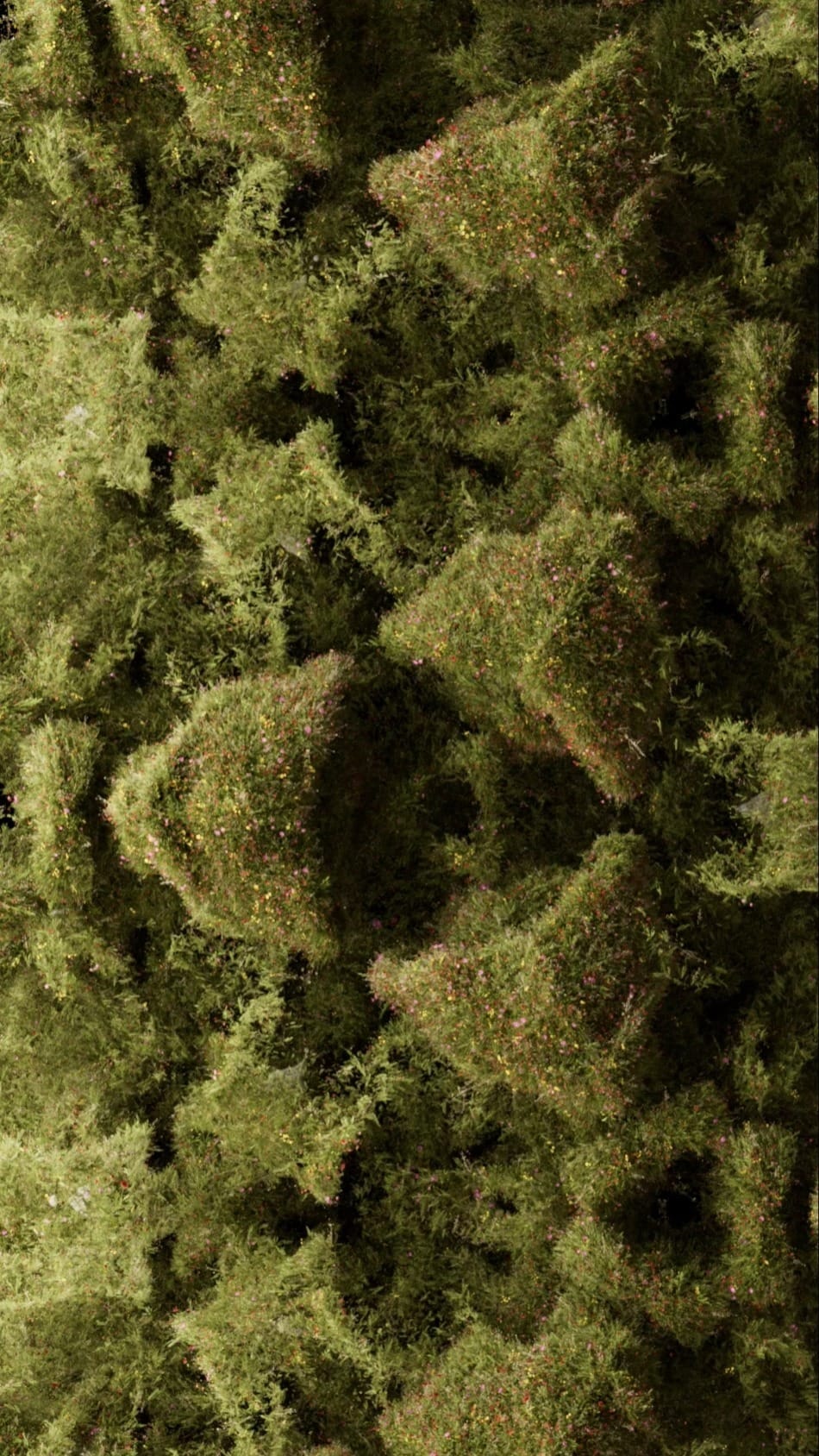 Post 6 by Danil Krivoruchko on Instagram (video)