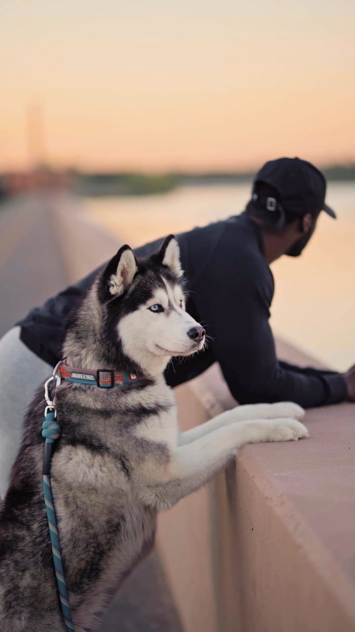 Post 10 by Reggie Dreaming | Fitness on Instagram (video)