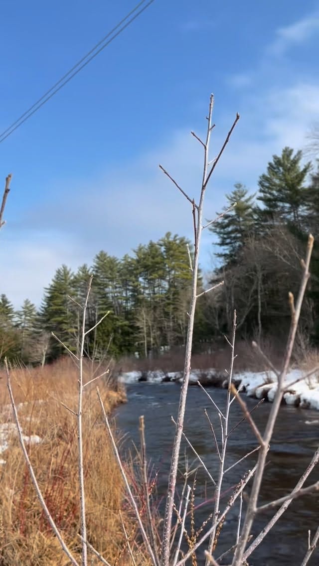 Post 2 by Ruffian Snowbike Co. on Instagram (video)