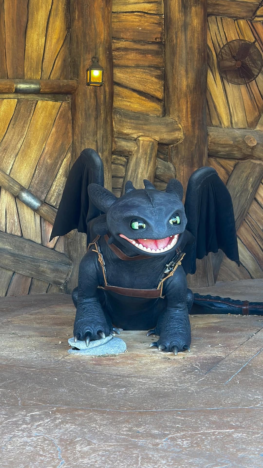 Post 9 by Ricky Mouse - Agente Especializado en Disney & Universal on Instagram (video)
