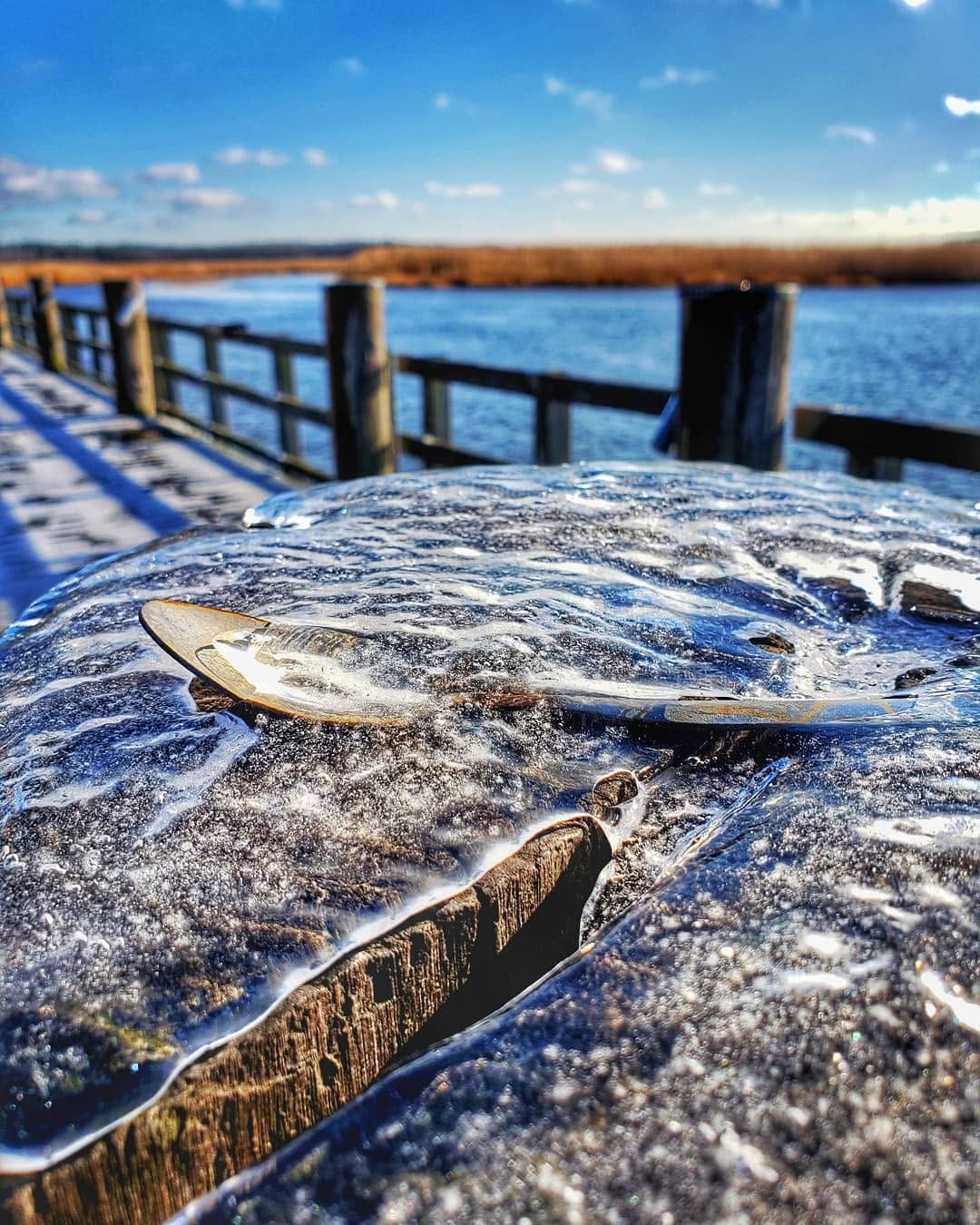 Post 1 by Clancy on Instagram (image)