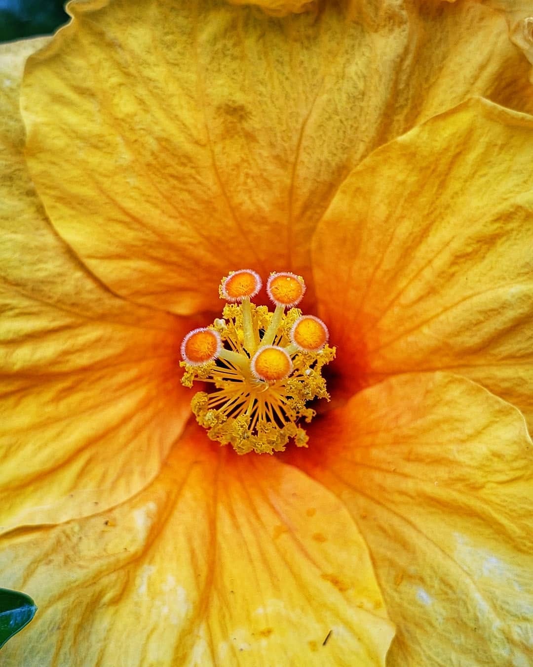 Post 7 by Clancy on Instagram (image)