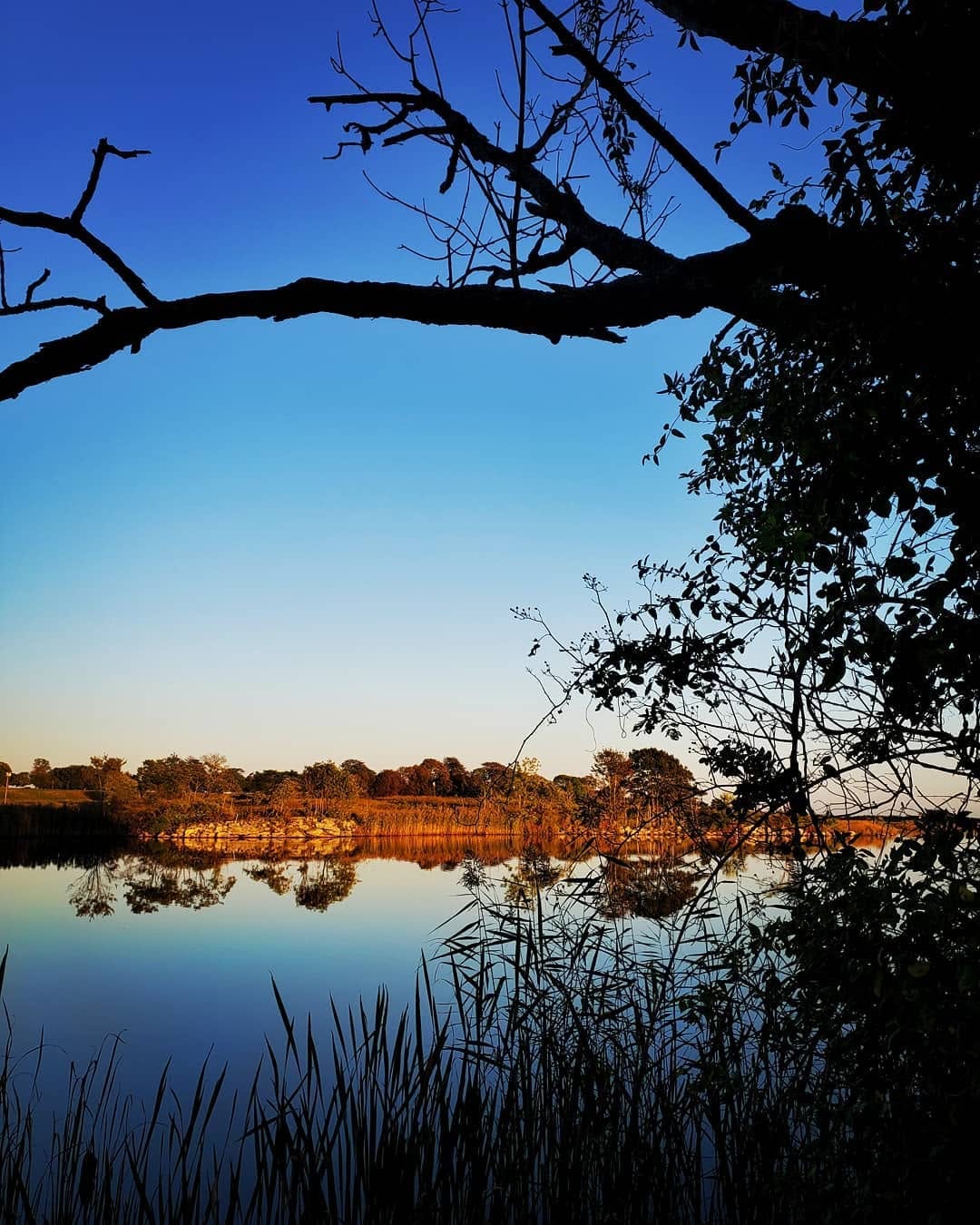 Post 3 by Clancy on Instagram (image)